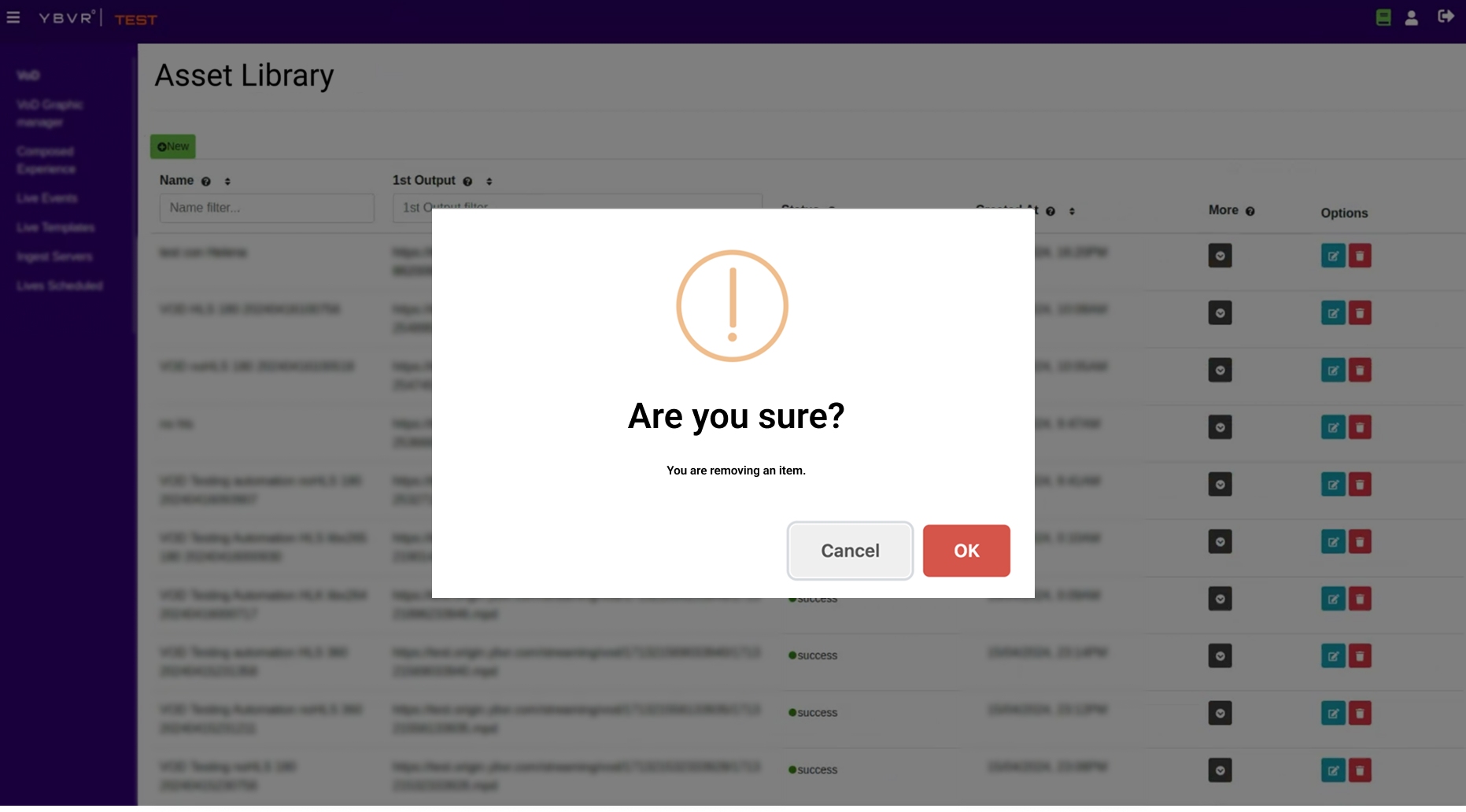 Vague destructive-action modal — before